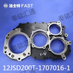后盖12JSD200T-1707016-1(1)